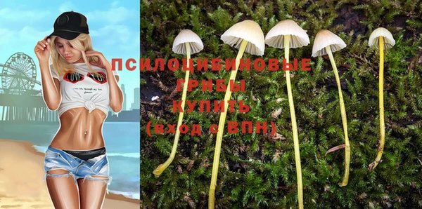 марки lsd Няндома