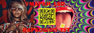 PSILOCYBIN Донской