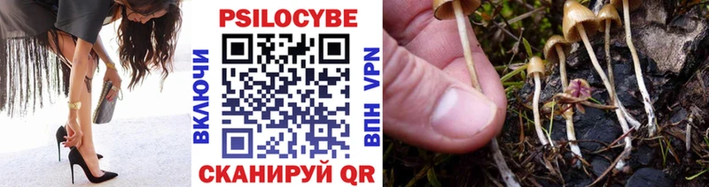 Галлюциногенные грибы Psilocybe  ссылка на мегу маркетплейс  Осинники 