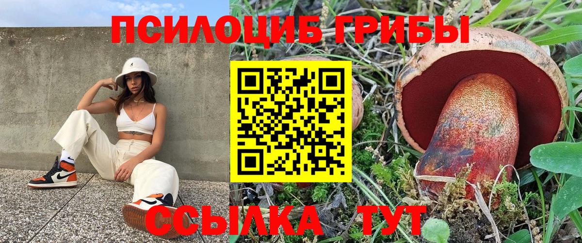 Осинники  Галлюциногенные грибы мухоморы  Вход с VPN 