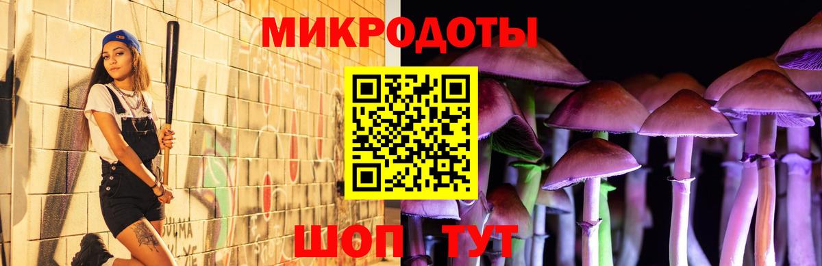 Галлюциногенные грибы Psilocybine cubensis Осинники